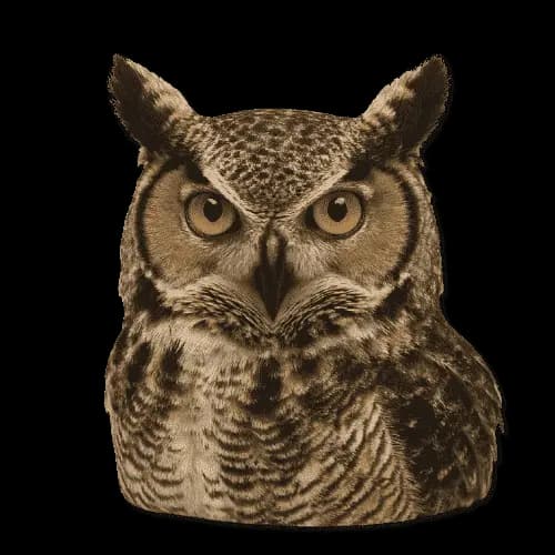 AI Hybrid Animal Generator example 2