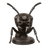 Ant