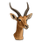 Antelope