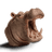 Hippopotamus