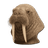 Walrus